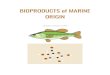 BIOPRODUCTS of MARINE ORIGIN - CESGA€¦ · LIVER 1º HEART 2º EYES 3º SWAT BLADDER 4º BOWELS 5º STOMACH 6º What other elements are removed from the fish, but not placed on