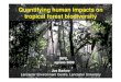 Quantifying human impacts on tropical forest biodiversitySapotaceae: Pouteria spp. and others Work in progress… 1) Examining the longer-term consequences of wildfires across Amazonia
