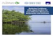 Reducing Caribbean Risk: Opportunities for Cost-Effective ......Way, M. Rogers, L. McFarla-ne-Connelly. 2020. “Reducing Caribbean Risk: Opportunities for Cost-Effective Mangrove