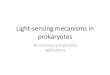 Light‐sensing mecanisms in prokaryotes2009.igem.org/wiki/images/4/48/Light.pdf · Bacteriorhodopsin : •First found in haloarchaea •Quite an easy mechanism to create a proton