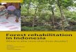 Review of Forest Rehabilitation Lessons from the PastMarkku Kanninen, Piia Kooponen, Bruce Campbell, Herry Purnomo, and Petrus Gunarso Data and information management and publication