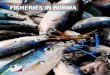 FISHERIES IN BURMA RANGOONIn the north, the Hengduan Shan Mountains form the border with China. Mount Hkakabo Razi, located in the Kachin State, is at an elevation of 5,881m and is