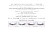 3D REAL MINK LASHES -H SERIES - ... 3D REAL MINK LASHES -H SERIES Radiance Beauty Siberian Real Mink