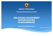 UNLOCKING INVESTMENT OPPORTUNITIES IN MOZAMBIQUE · 2018. 8. 7. · Republic of Mozambique. Investment Promotion Centre (CPI) UNLOCKING INVESTMENT . OPPORTUNITIES. IN MOZAMBIQUE