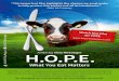 Hope for All (en) - Flyer A5 und A6 - H.O.P.E. The Project€¦ · HOPE The Project lm or FREE m H.O.P.E. is a life-changing documentary uncovering and revealing the eﬀ ects of