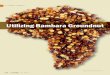 Utilizing Bambara Groundnut in Value-Added Products/media/food technology/pdf/2016/01... · 2015. 12. 22. · Morning sickness Epilepsy Theraputic Livestock insecticide Abscess &