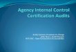 Kathy Garceau, Examiner-in-Charge John Buyce, Audit ...nysica.com/uploads/3/4/8/5/34855847/2013_feb_nysica_mtg.pdf · NYS OSC - State Government Accountability . Internal Controls