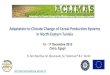 Adaptation to Climate Change of Cereal Production Systems ... Final Workshop Egypt, … · 15 - 17 Decembre 2015 Cairo, Egypt netij.benmechlia@iresa.agrinet.tn Adaptation to Climate