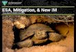 ESA, Mitigation, & New IM...Supporting Text. Evan Myers Wildlife Biologist • Overview of ESA • Mitigation ... • Tortoise take report (handling, penning burrows, injury/death)