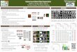 Instance-Level Salient Object Segmentation IEEE 2017 ......IEEE 2017 Conference on Computer Vision and Pattern Recognition Overview Multiscale Refinement Network Experiments Experiments