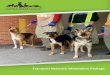 Transport Network Information Package...Introduction In an effort to expand the life-saving capacity at Toronto Humane Society , we have created the Transport Network Program. The