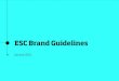 ESC Branding Guidelines · 2020. 3. 27. · Guidelines contents 1. Brand strategy 4 Brand statement 5 Mission statement White horizontal lock-up5 Brand promise Colour vertical lock-up6