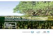 Coastal Blue CarBon - CIFOR...Coastal Blue CarBon methods for assessing carbon stocks and emissions factors in mangroves, tidal salt marshes, and seagrass meadows 2 edItors Jennifer