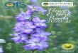 Flower & Herb Seeds...er the range in this catalogue ! WHOLESALE FLOWER SEED CATALOG 2020-2021 Effective as from July 2020 PRICES IN EUR Prices Prices are stated EUR (euros). Minimum
