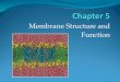 Membrane Structure and Function · 2020. 11. 19. · Cell Membrane A. Plasma membrane is selectively permeable Allows some substances to cross more easily than others B. Fluid Mosaic
