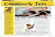 750,000 and counting… - Dogs Trust · 2018. 12. 21. · Dogs Trust has long campaigned for all dogs to be microchipped to ensure lost or stolen dogs can be reunited with their keepers