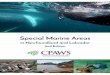 CPAWS-NL - Special Marine Areas in Newfoundland and ......2018/02/20  · compelled CPAWS-NL to update the guide. In March 2016, a second Special Marine Areas Workshop was held at