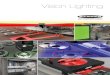Vision Lighting - Banner Engineering · 2020. 1. 30. · Machine vision systems are used as quality control to ensure critical inspection and measurement. They evaluate the image