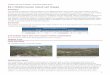 E6.1 Mediterranean inland salt steppe · 6/1/2016  · Vulnerable A1 Vulnerable A1 ... Arthrocnemion macrostachyi Rivas-Martínez & Costa 1984 Gaudinio-Podospermion cani S. Brullo