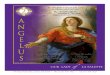 Our Lady of La Salettelasalettecanton.com/files/20201206.pdf · 2020. 12. 3. · Our Lady of La Salette 2941 Sam Nelson Rd., Canton, GA 30114 • Phone 770 - 479 - 8923 • Fax 770