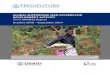GLOBAL SUPPORTING SEED SYSTEMS FOR DEVELOPMENT ACTIVITY ... · S34D reviewed the existing indices on seed systems (TASAI, ASI and EBA) and identified, compiled, and shared gaps and