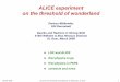 ALICE experiment on the threshold of wonderlandcrunch.ikp.physik.tu-darmstadt.de/qhqcd/tuesday/miskowiec.pdf · ALICE on the threshold of wonderland, D. Miskowiec, St. Goar. 24. first