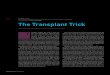 38 The Transplant Trickarchive.protomag.com/statics/SP_09_chimerism.pdf · half of transplanted organs still function. T One way to sidestep the need for immunosuppression and improve