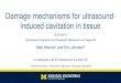 Damage mechanisms for ultrasound- induced cavitation in tissuemwarnez/ISTU2014.pdf · 2014. 4. 2. · Damage mechanisms for ultrasound-induced cavitation in tissue 2014 April 4 International