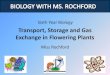 Transport, Storage and Gas Exchange in Flowering P Transport, Storage and Gas Exchange in Flowering