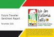 Sentiment Report Future Traveller · 2020. 11. 23. · Future Traveller Sentiment Report November 2020 ‘We Are Victoria Falls’ is an independent, public-private partnership initiative