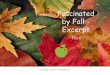 Fascinated by Fall - Excerpt€¦ · 2. What most people don’t realize is that an apple tree grown from a seed bears little resemblance to its parent. If you grew 100 apple trees