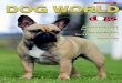 BREED FEATURE French Bulldog p10 · Total Puppies - 2020 Row Labels No. Litter Received for 2020 Row Labels No. Litter 2019. Jan 675 687 1362 Jan 283 Jan 328. 8 – Breed Feature