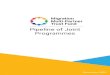 Pipeline of Joint Programmes · 2020. 12. 31. · This pipeline is a “living” document. Additional programmes can be added by the Steering Committee at each of its meetings just