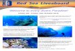 Red Sea Liveaboard - Island Divers Ltd · • Rosalie Moller 17m - 45/50m • Ghiannis D 6m - 28m • Carnatic 18m - 27m • Chrisoula K 10m - 32m • Kimon M 15m - 36m • El Minia