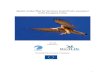 Species Action Plan for the lesser kestrel Falco naumanniec.europa.eu/.../action_plans/docs/falco_naumanni.pdf3 Geographical scope This Action Plan covers the regular breeding range