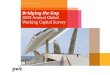 2015 Annual Global Working Capital Surveypreview.thenewsmarket.com/Previews/PWC/DocumentAssets/39169… · 2015 Annual Global Working Capital Survey 4 Working capital has shown the
