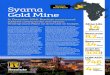 Syama Gold Mine - Resolute Mining · 2019. 5. 24. · Syama Gold Mine LOM AISC US$746 /oz Reserves 3.4 Moz Resources 8.2 Moz 4 Plant Capacity Mtpa Mine Life14 years Target Site Production