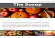 The Scoop - Newsroom · 2020. 10. 1. · The Scoop October 2020 A Season of Changes Dear Saint Mary’s Community, It’sbeen a joy to welcome everyone back to campus. Here at Chartwells