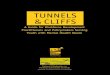 TUNNELS &CLIFFS · 2017. 10. 5. · TUNNELS &CLIFFS A Guide for Workforce Development Practitioners and Policymakers Serving Youth with Mental Health Needs. ... mental health needs