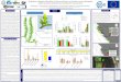 (1)* Caulerpa morphological parameters (1) (2), Lorenzo Pasculli… · 2020. 5. 6. · Preliminary evaluation of the effects of Caulerpa cylindracea on Posidonia oceanica through