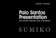 OWNER’S MANUAL Palo Santos PresentationPalo Santos, we’ve chosen an expensive Alnico magnet for it’s pure saturation qualities. This quality helps provide the Palo Santos with