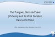 The Pungwe, Buzi, and Save (Pubusa) and Central Zambezi Basins …cridf.net/RC/wp-content/uploads/2018/03/49Pubusa.pdf · 2018. 3. 14. · Basins Portfolio Jefter Sakupwanya, Mbali