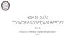 How to pull a COGNOS BUDGET REPORT · 2020. 9. 8. · Cognos Reporting e-Learning Notification Subscriptions User Preferences View Files PLUS eFinancePLUS a PLUS 360 Application rvlain