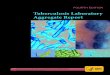 FOURTH EDITION: Tuberculosis Laboratory Aggregate ReportThe Fourth Edition of the Tuberculosis Laboratory Aggregate Report provides peer data for comparison and serves as a guide to