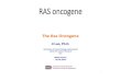 RAS oncogene 2020. 12. 18.¢  Ras signaling & oncogenesis 3. Targeting Ras and its signaling network