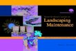 Month-By-Month Calendar for Landscaping MaintenanceMaintenance Month-By-Month Calendar for ... Q Build a maintenance plan for the year Q Take down holiday decorations ... Deep Root