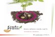 TECHNICAL MANUAL...EndoPrime Technical Manual How mycorrhizae works •ithin the soil, plant roots are limited in the area they can access and W absorb nutrients and moisture (the