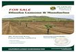 DDinuba Lemons & Mandarinsinuba Lemons & Mandarins40± Assessed Acres $1,800,000 DDinuba Lemons & Mandarinsinuba Lemons & Mandarins DESCRIPTION: Available for sale is a nicely developed