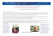 Embodied Life Retreat with Russell and Linda Delman Ever …russelldelman.com/pdfs/1907_hannemo-flyer.pdf · 2019. 2. 26. · Embodied Life Retreat with Russell and Linda Delman Ever-Present