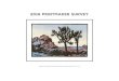Joshua Tree Dusk by Sophie Graine (Linocut Print 5 x 7 ... 1 About This Book: In spring 2016, 50 linocut
